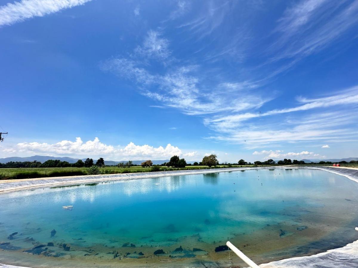 Rancho agricola en REMATE de 42 ha con sistema de riego entre Gto y SLP (San Felipe)